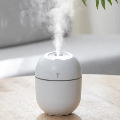 Egg-Shaped Humidifier